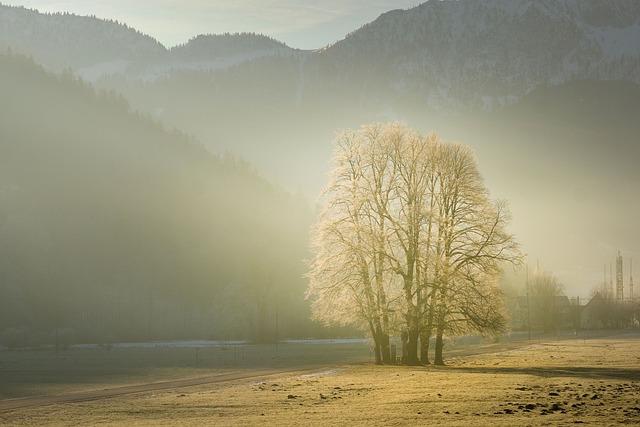 Mastering Mindful Mornings Crafting a Routine That Sets the Tone for the Day