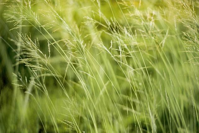 Sustainable Chic Investing in Eco-Friendly Fashion Staples